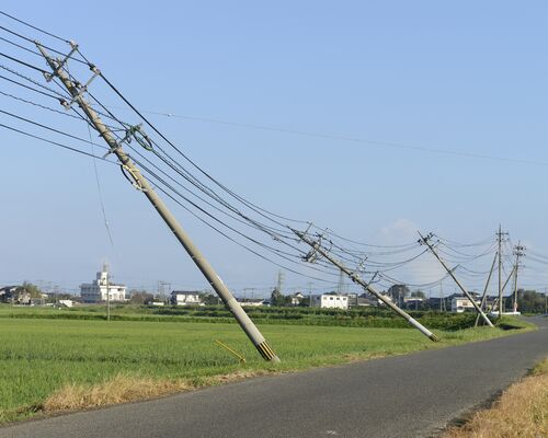 AdobeStock_109653401