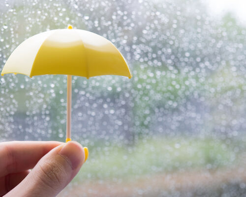 AdobeStock_114274585